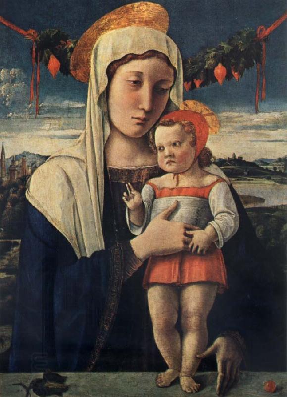 Gentile Bellini Madonna and child China oil painting art